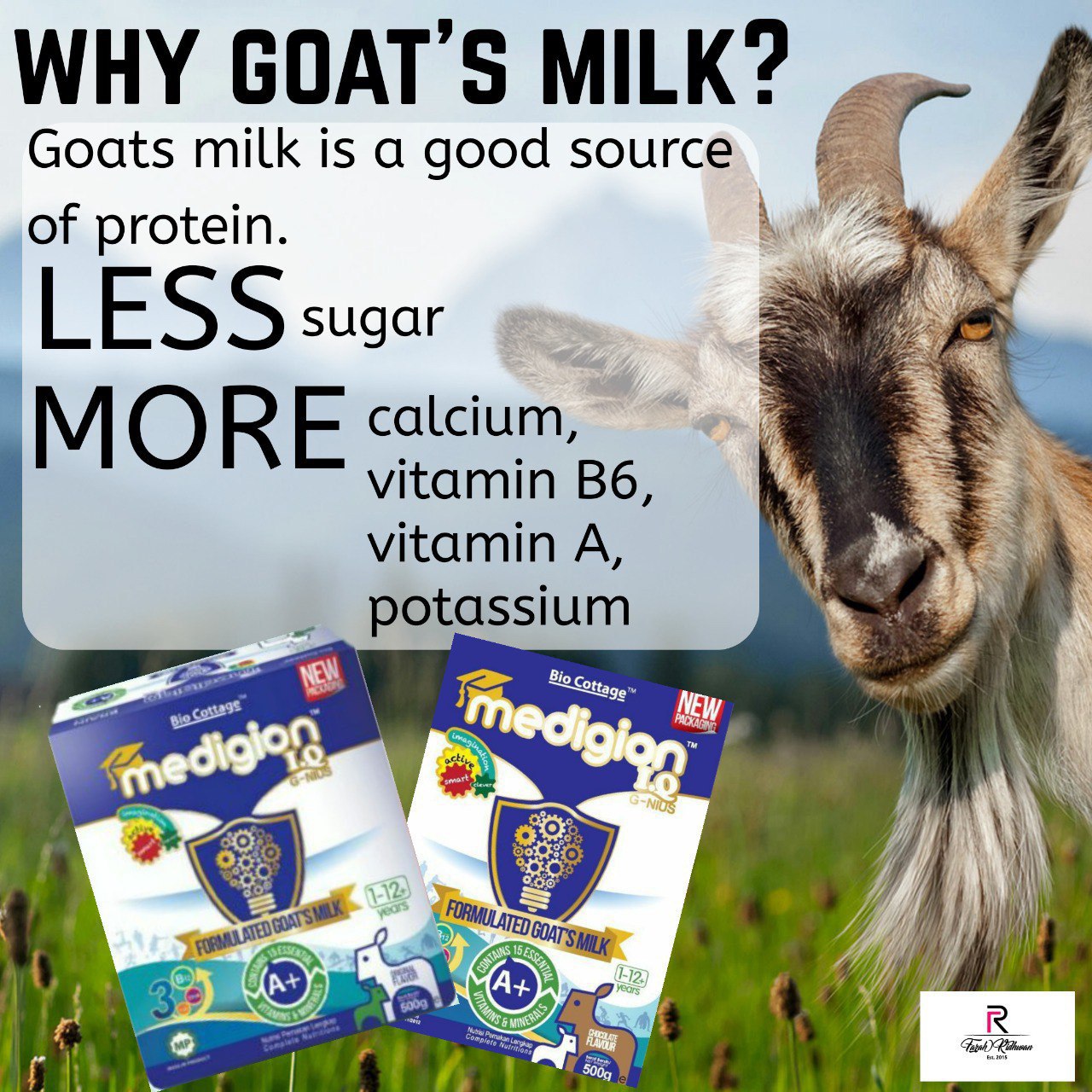 IQ Medigion Goat Milk (not valid for customers)
